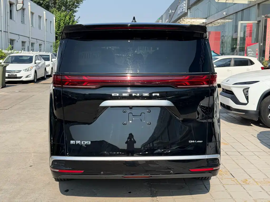 Denza Denza D9 — миниатюра 9