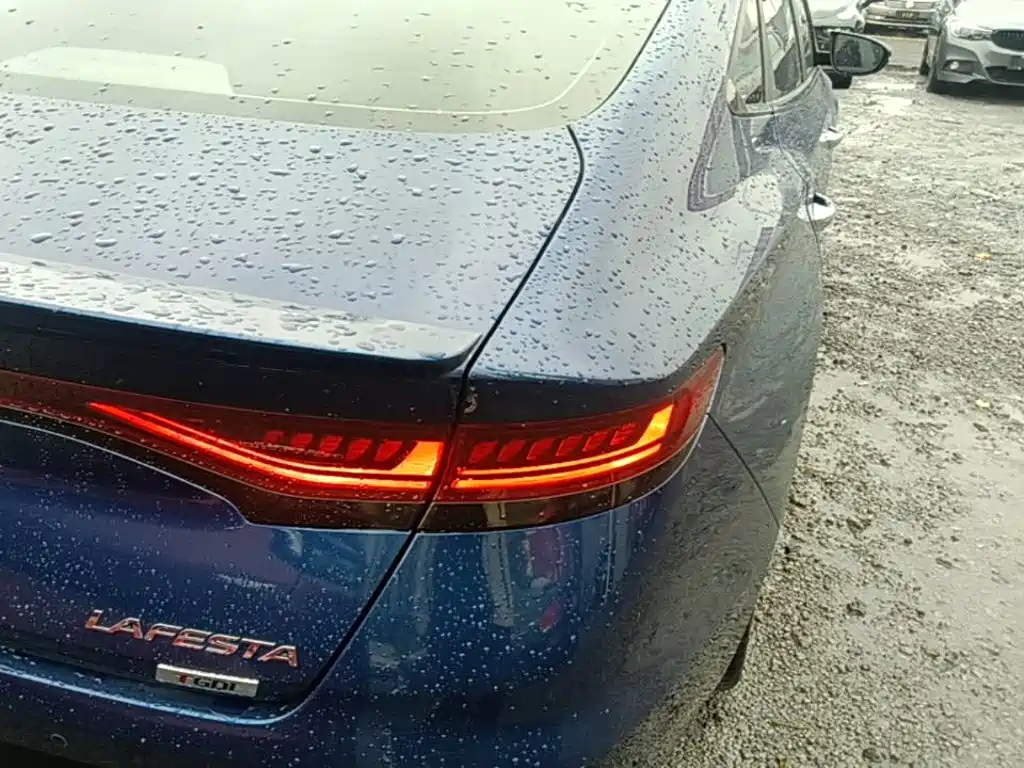 Hyundai Fista — миниатюра 8