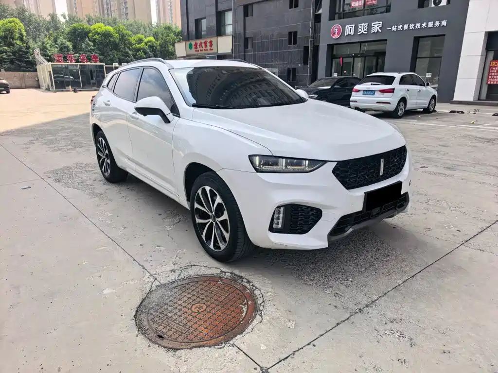 Wey Wey VV7 — миниатюра 3