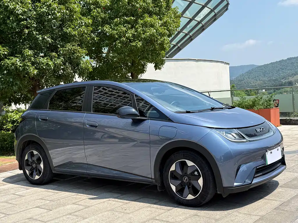 BYD Dolphin — миниатюра 3