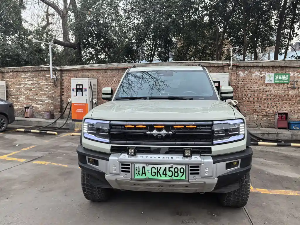 FANG CHENG BAO LEOPARD 5