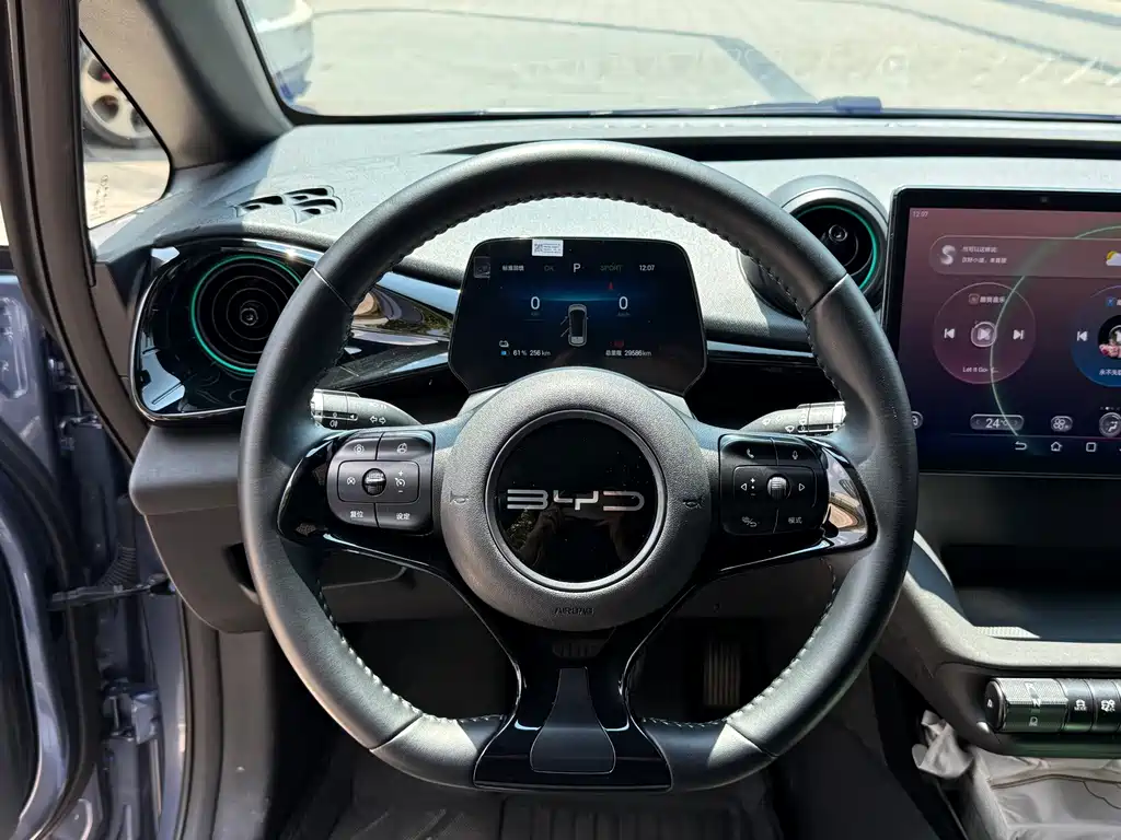 BYD Dolphin — миниатюра 14