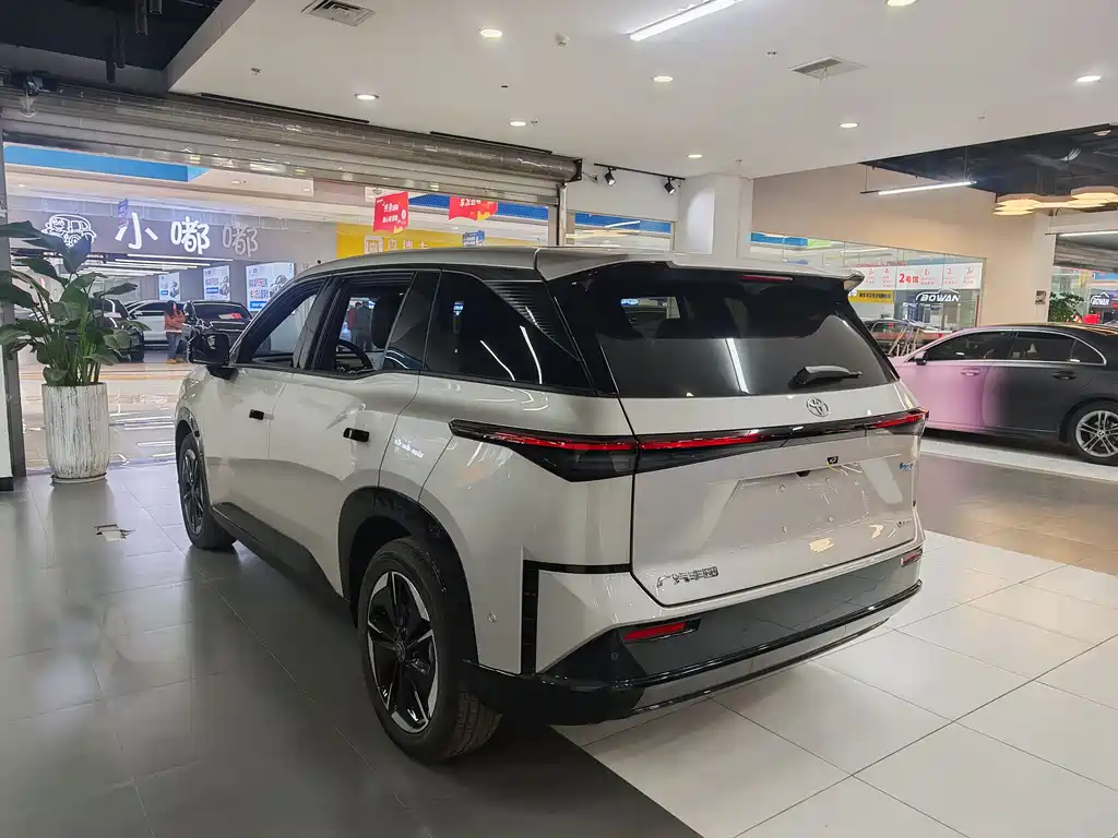 TOYOTA PLATINUM WISDOM 3X