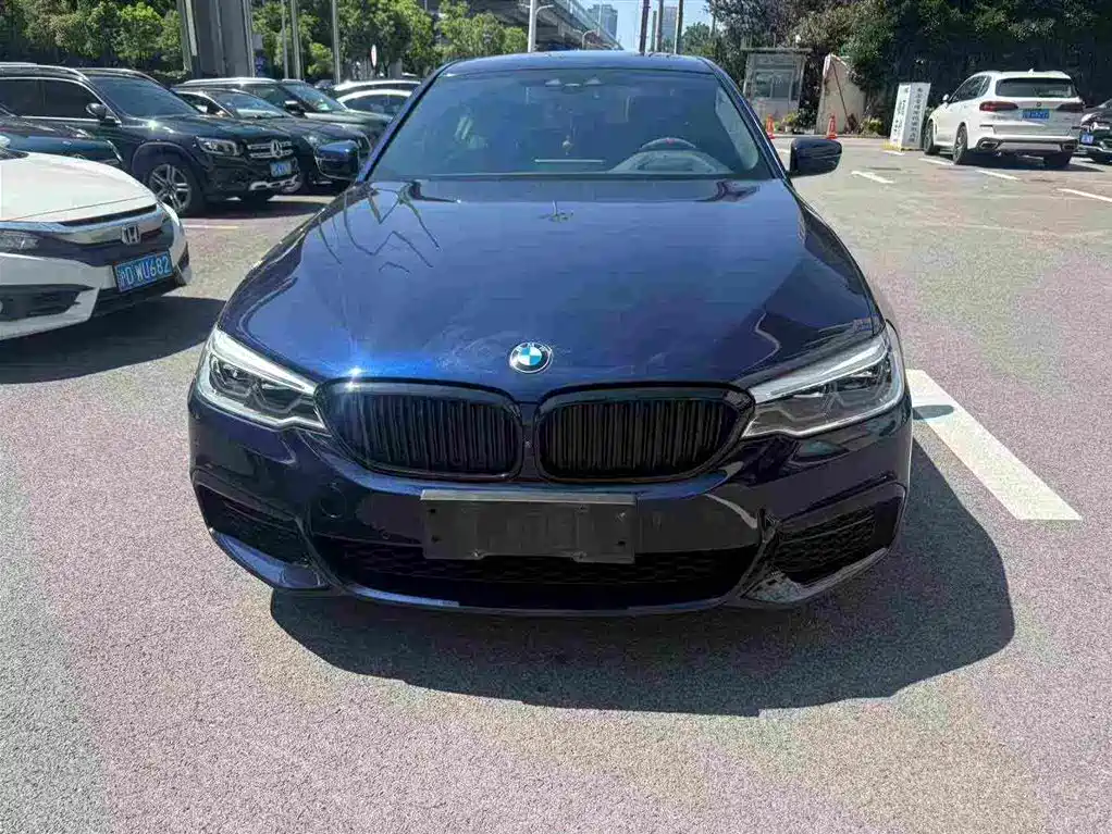 BMW 5 Series (Import) — миниатюра 2