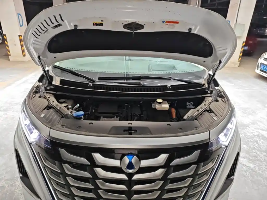 Denza Denza D9 — миниатюра 20