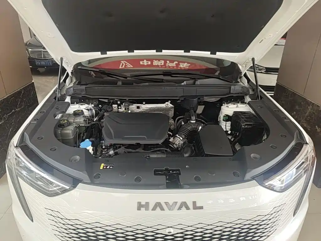 Haval Xiaolong MAX — миниатюра 20