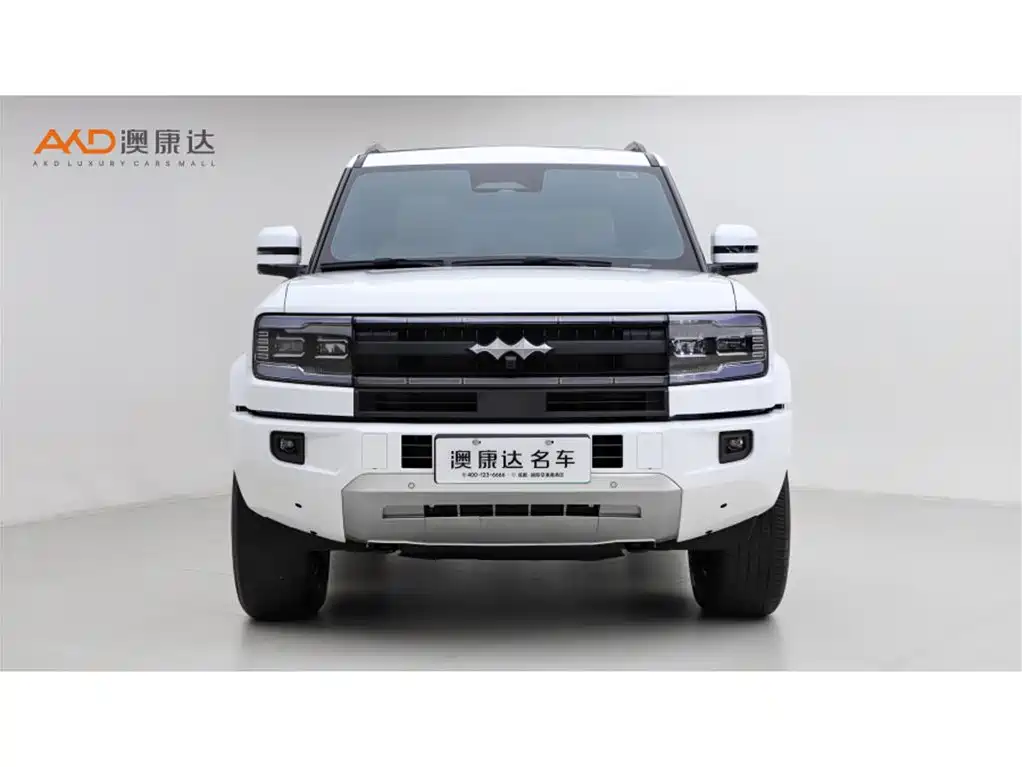 FANG CHENG BAO LEOPARD 5