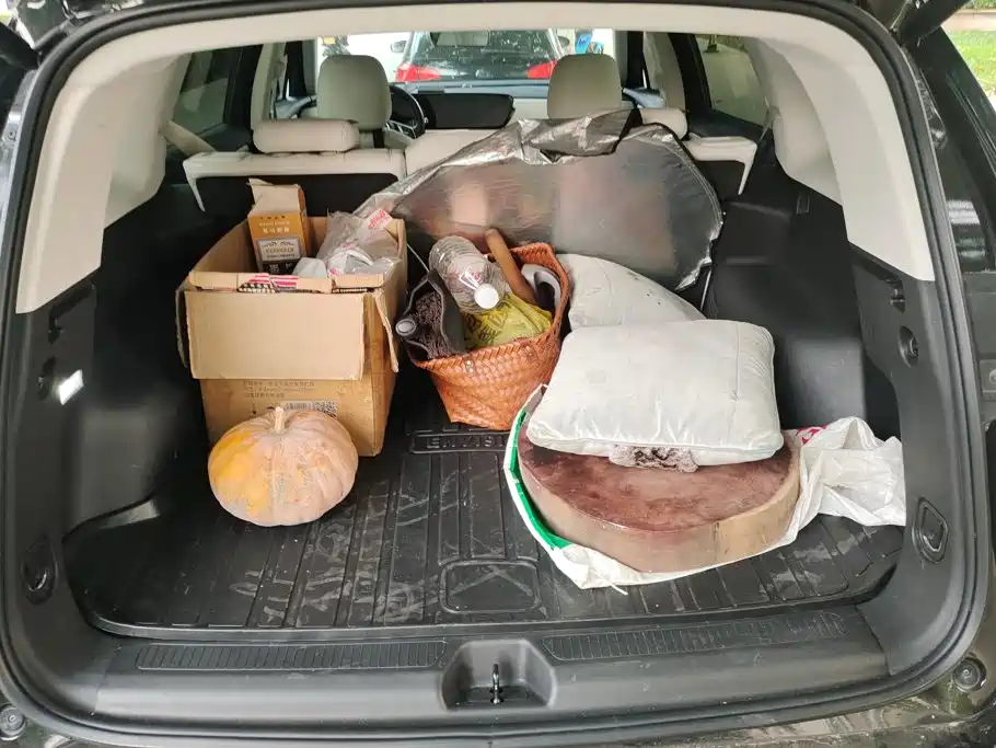 Buick Envision Plus — миниатюра 4