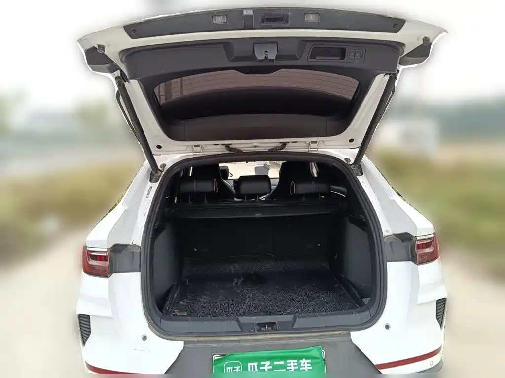 BYD PLUS New Energy — миниатюра 15