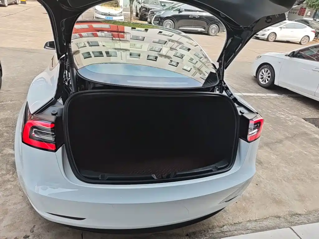 Tesla Model 3 — миниатюра 19