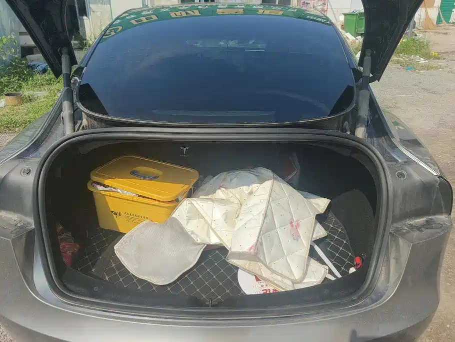 Tesla Model 3 — миниатюра 4
