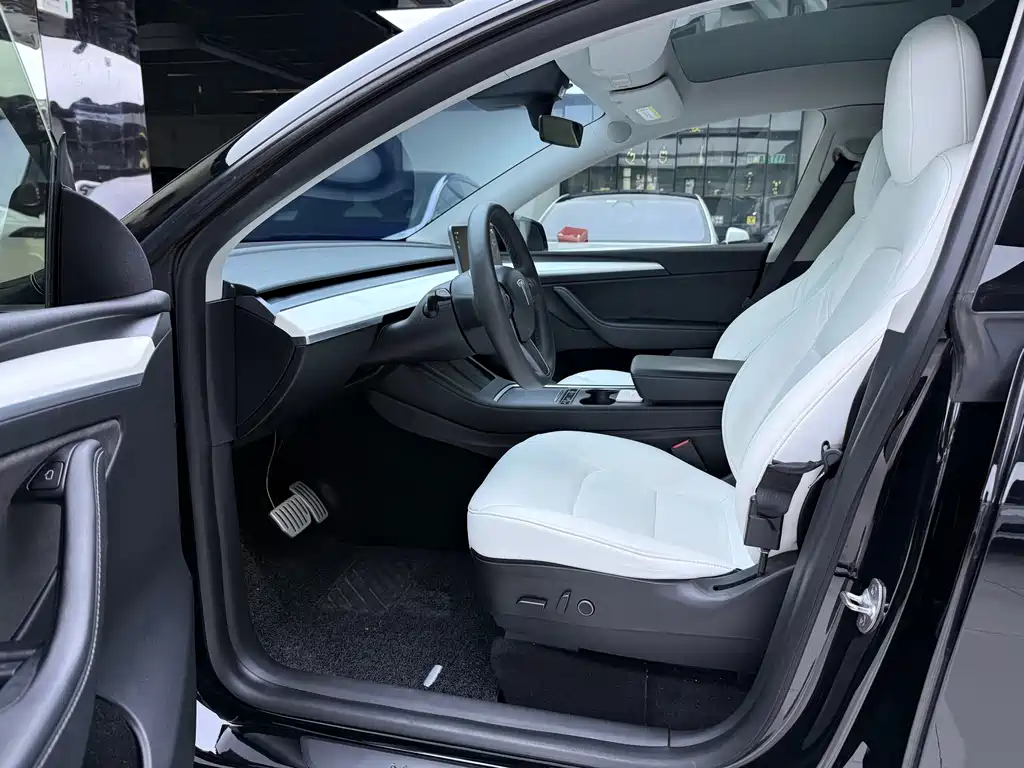 Tesla Model Y — миниатюра 4