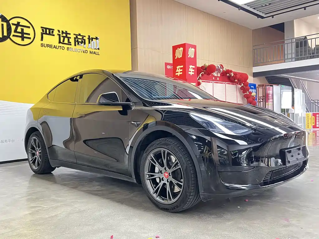 Tesla Model Y — миниатюра 3