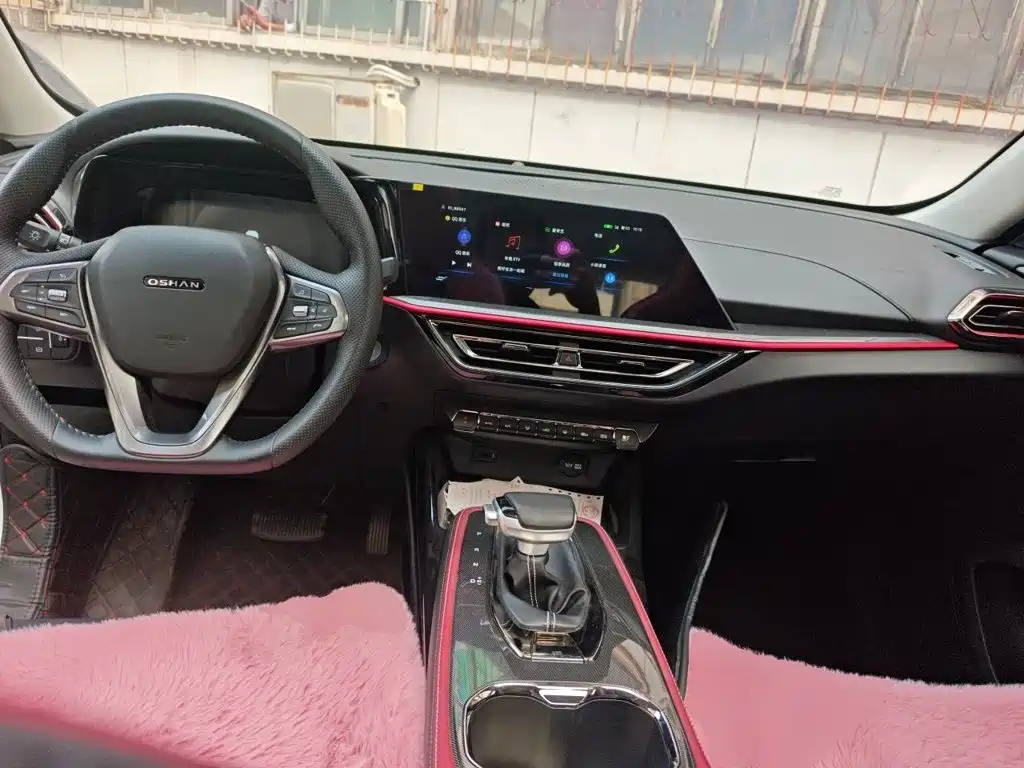 Oshan Oushang X5 — миниатюра 5