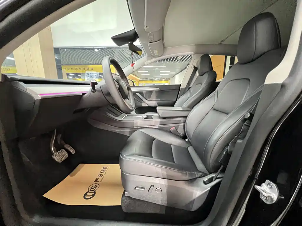 Tesla Model Y — миниатюра 7