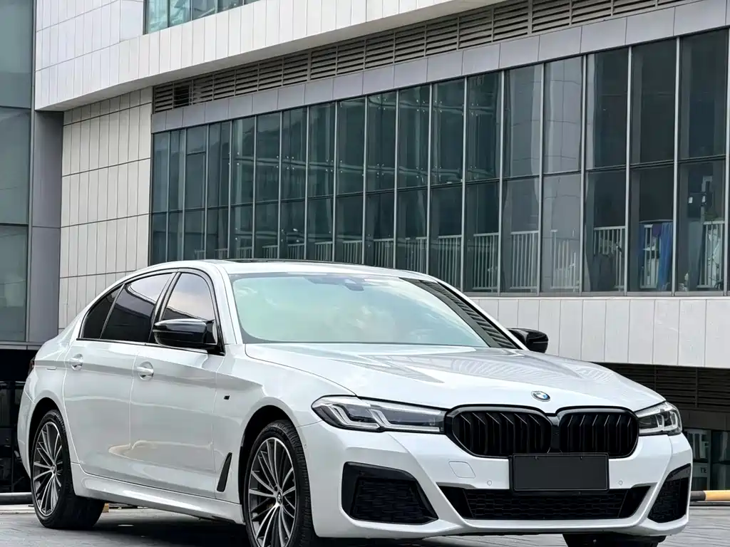 BMW 5 Series — миниатюра 3