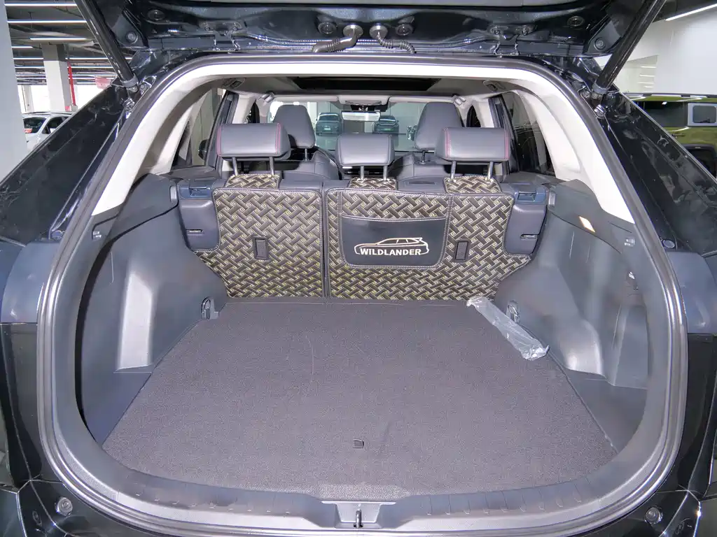 Toyota Wildlander New Energy — миниатюра 19