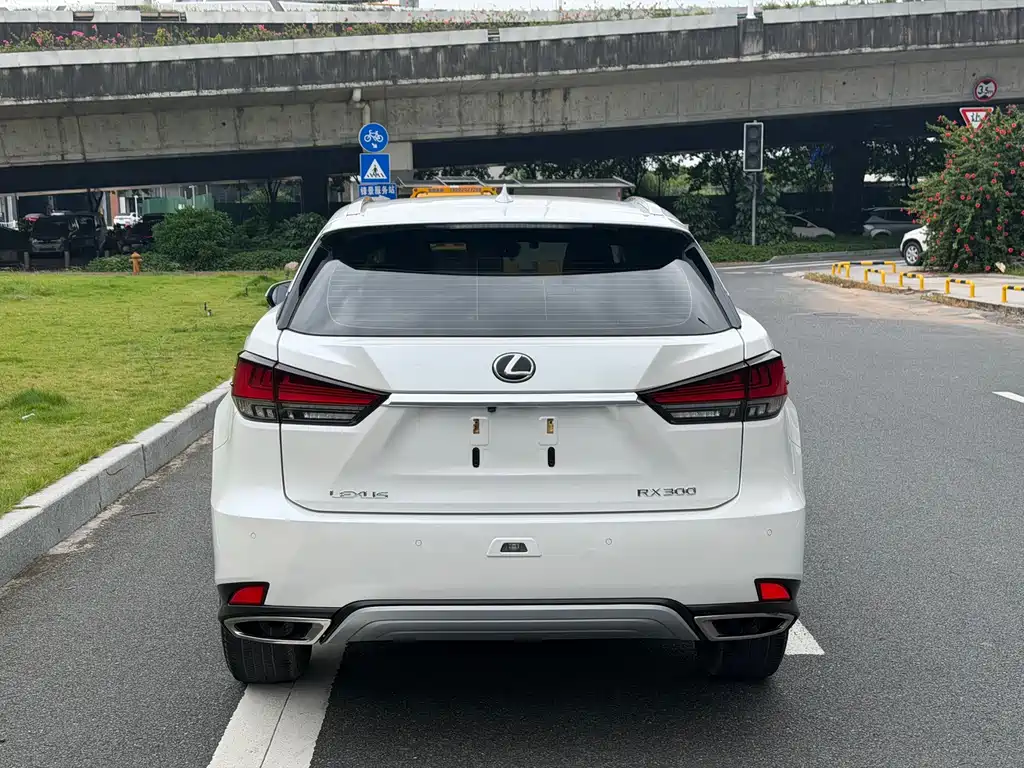 Lexus RX — миниатюра 18