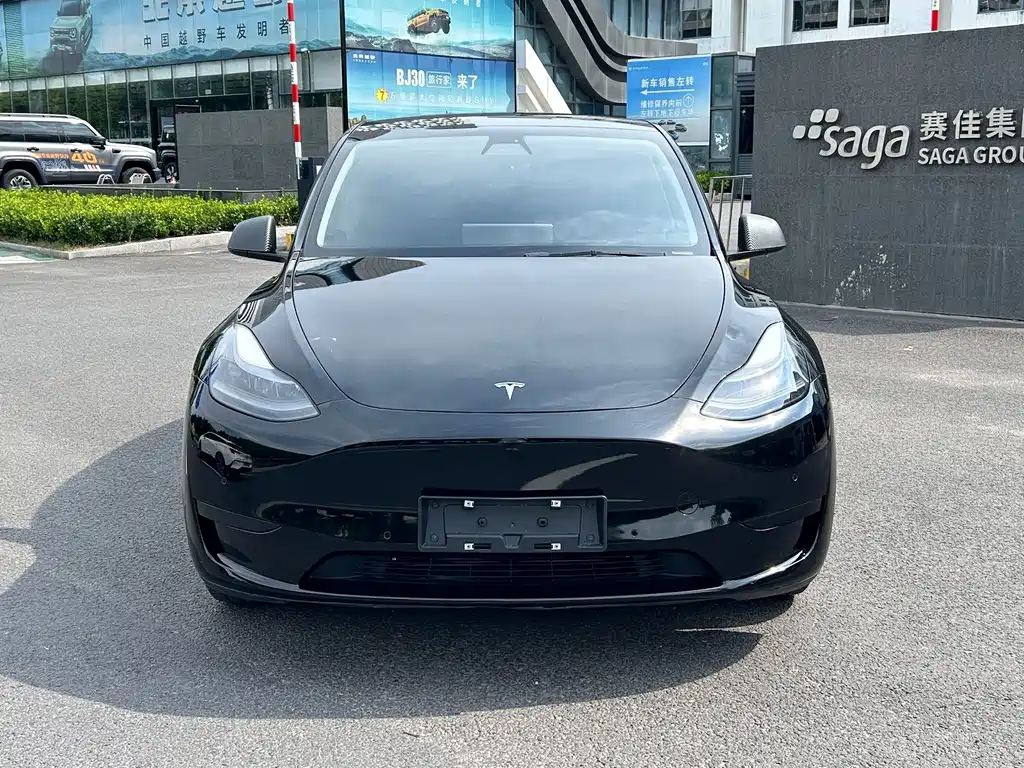 Tesla Model Y — миниатюра 2