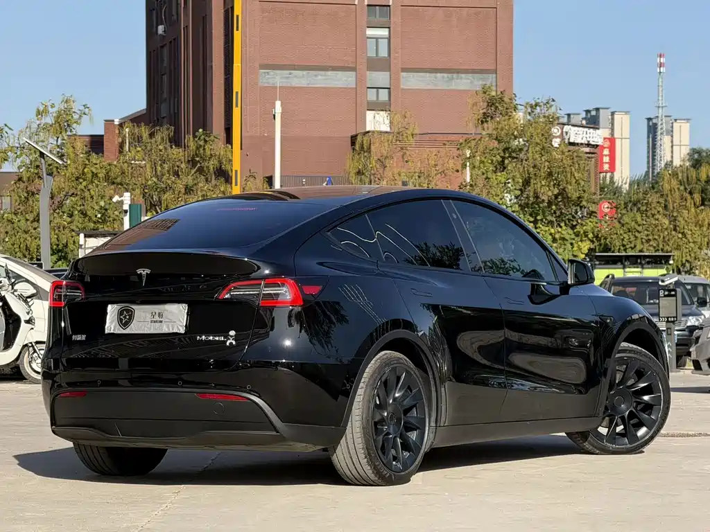 Tesla Model Y — миниатюра 6