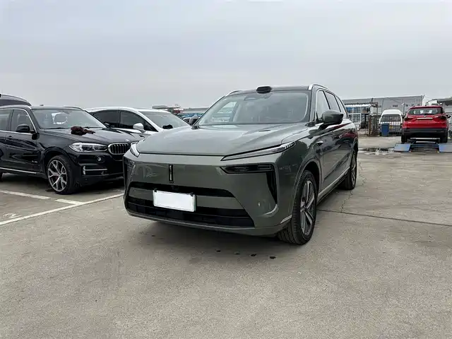 WEI PAI WEI BRAND BLUE MOUNTAIN 2024