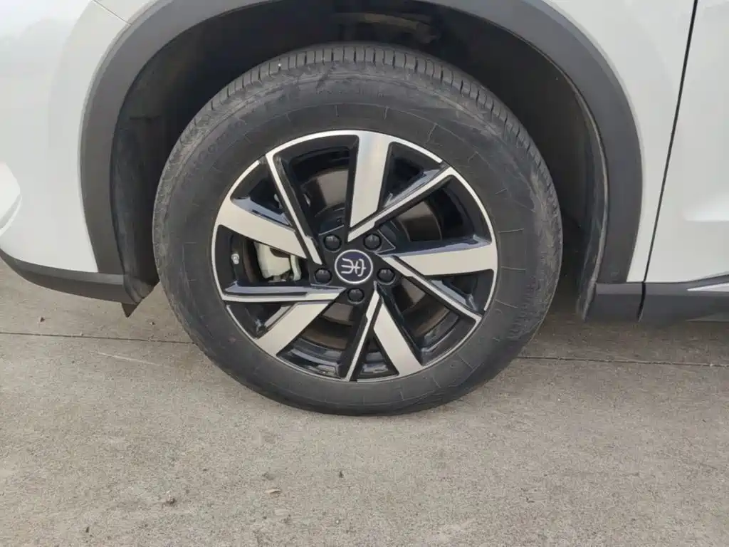 BYD Pro New Energy — миниатюра 23