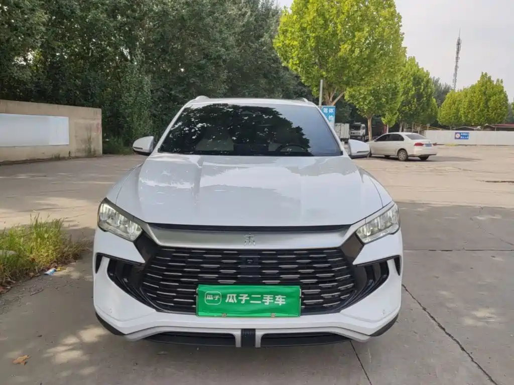 BYD Pro New Energy — миниатюра 3