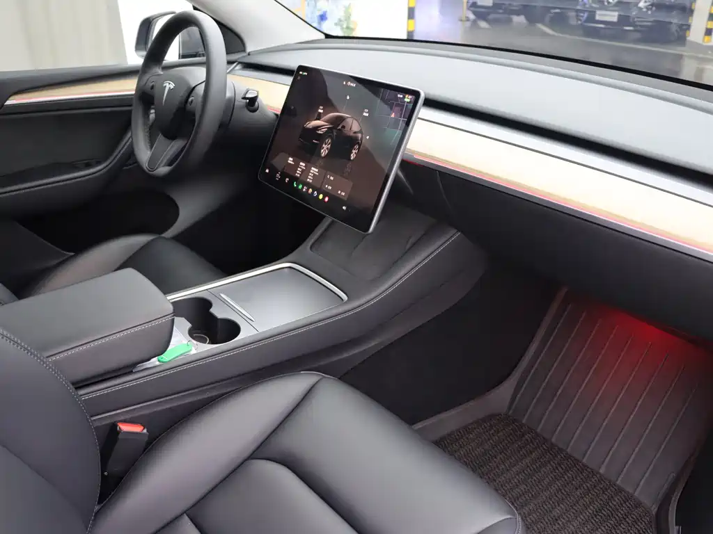 Tesla Model Y — миниатюра 8