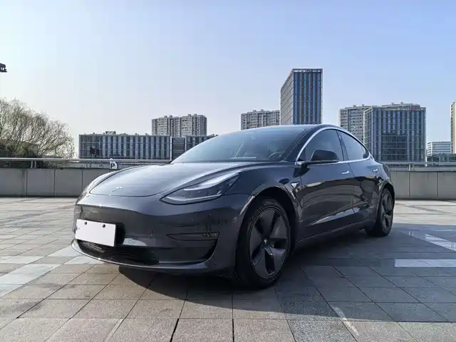 TESLA MODEL 3 2019