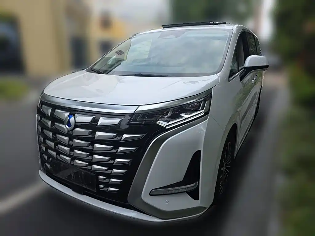 Denza Denza D9 — миниатюра 3