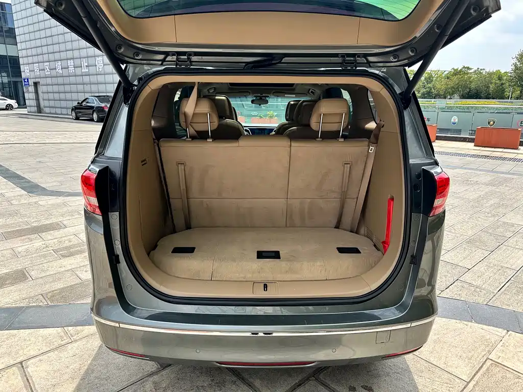 Buick GL8 — миниатюра 13