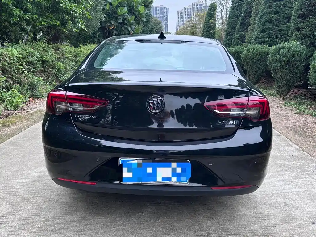 Buick Regal — миниатюра 8