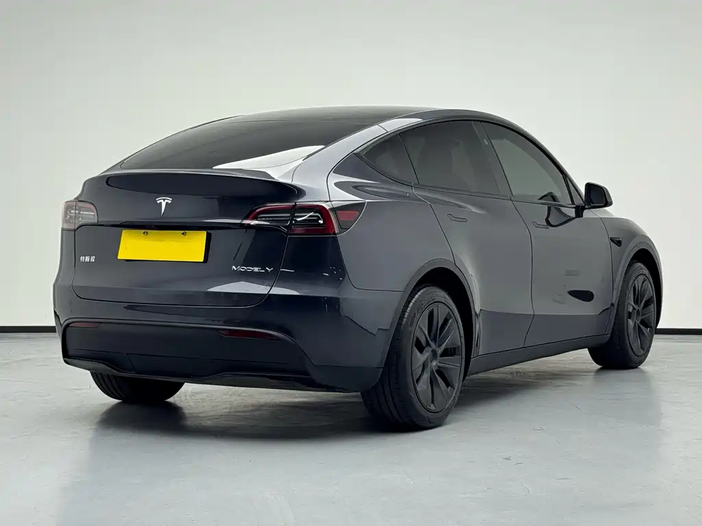 Tesla Model Y — миниатюра 3