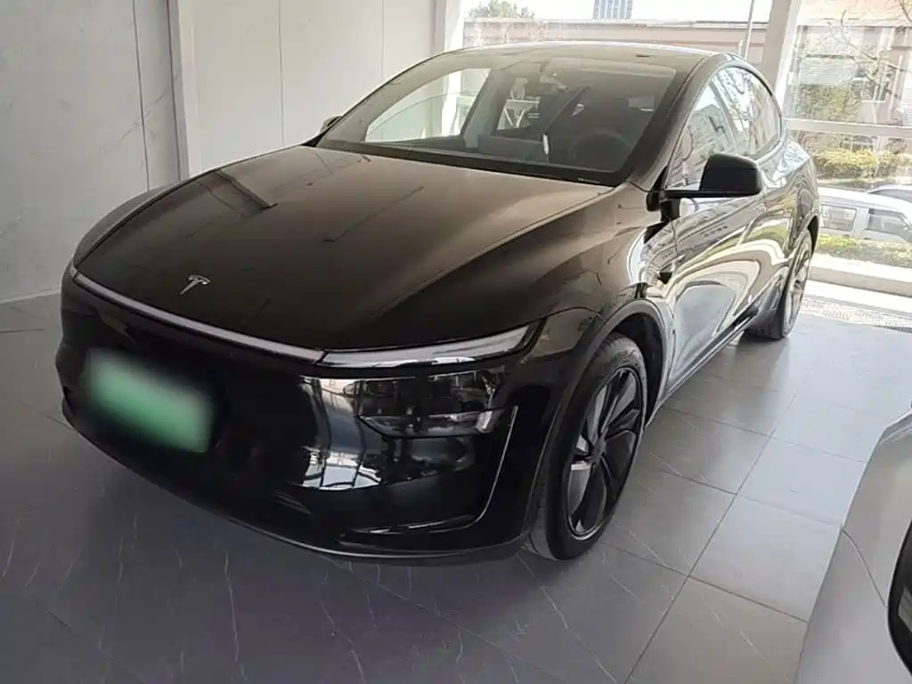 Tesla Model Y — миниатюра 2