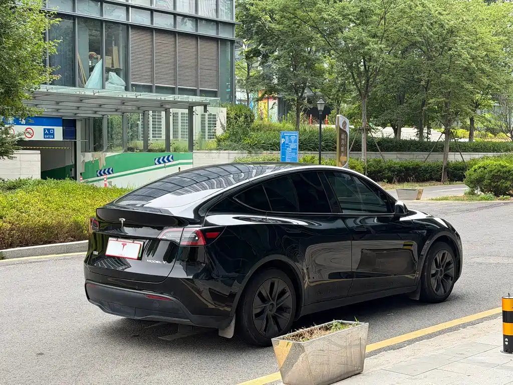 Tesla Model Y — миниатюра 6