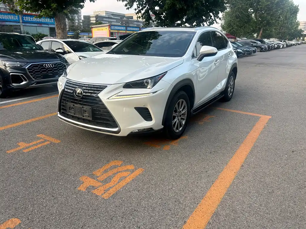 2018 Lexus NX - zdjęcie 1 z 13