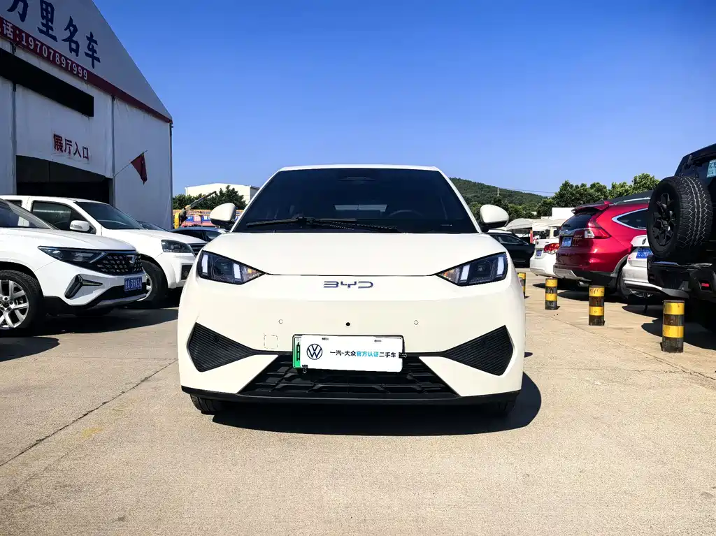 BYD Seagull 2025 Smart Drive 305km Freedom