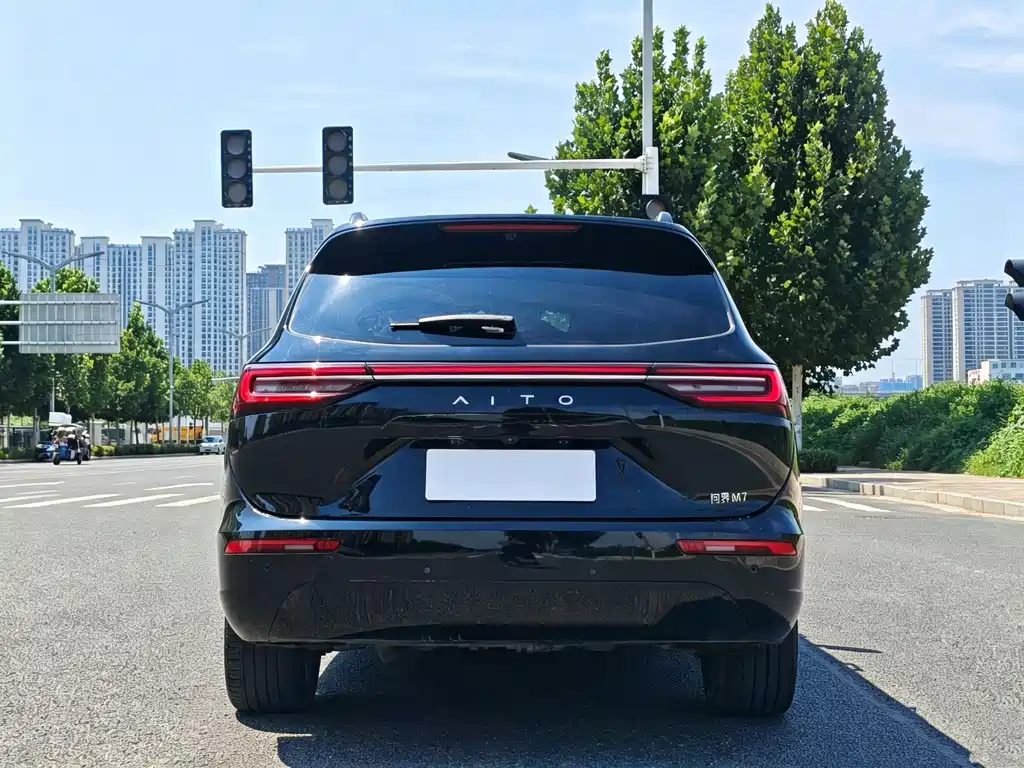 AITO Wenjie AITO M7 — миниатюра 9