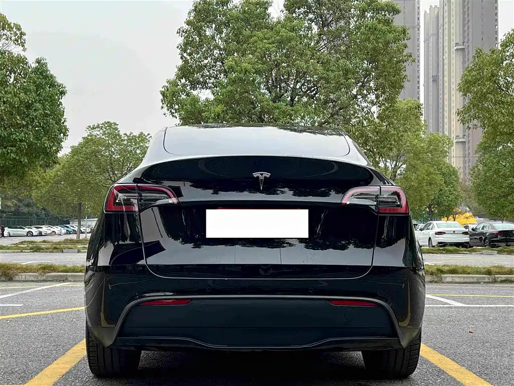 Tesla Model Y — миниатюра 11