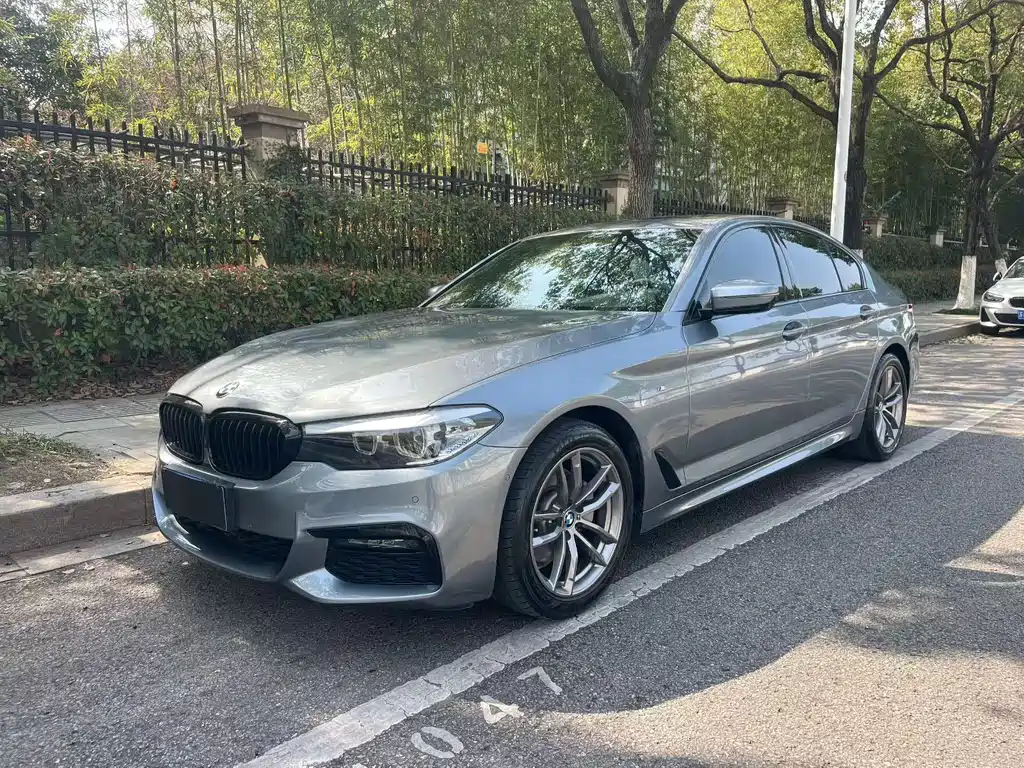 BMW 5 Series (Import) 2019
