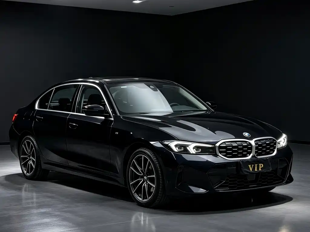 BMW 3 Series — миниатюра 2