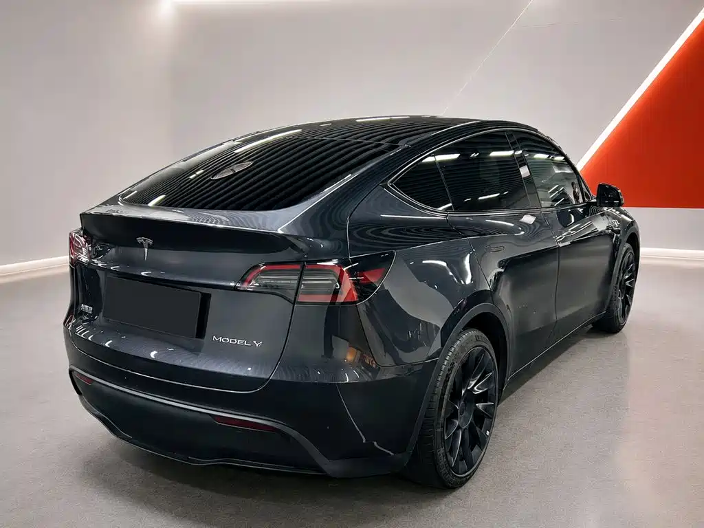 Tesla Model Y — миниатюра 4