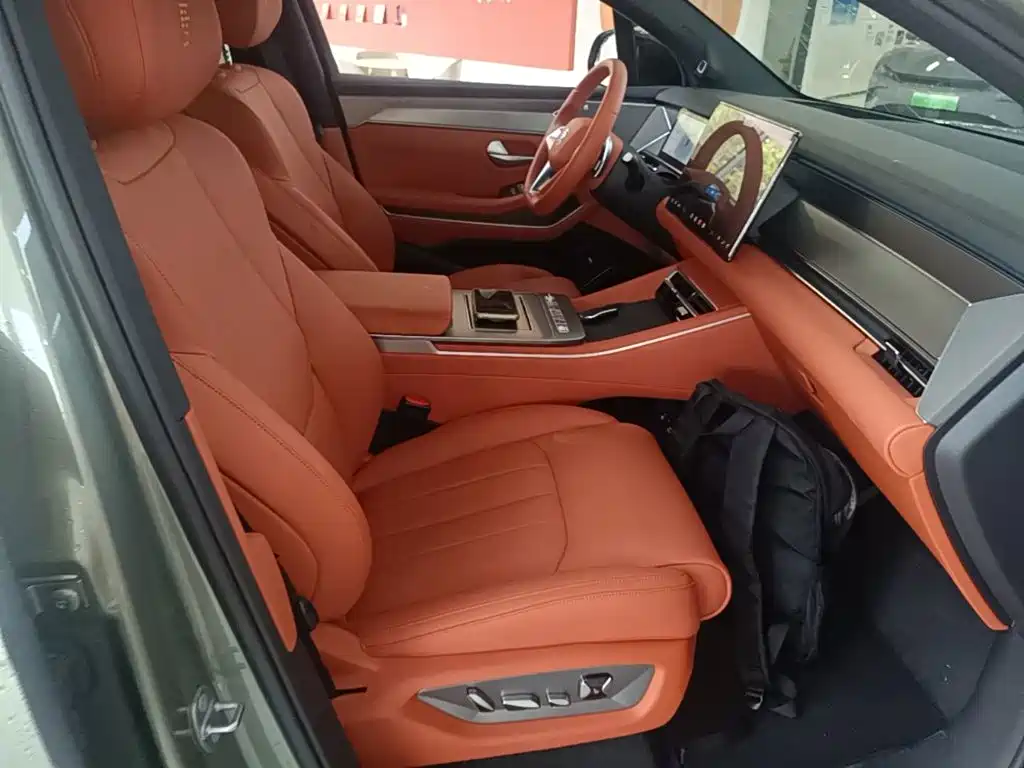 BYD Дон Л. — миниатюра 20