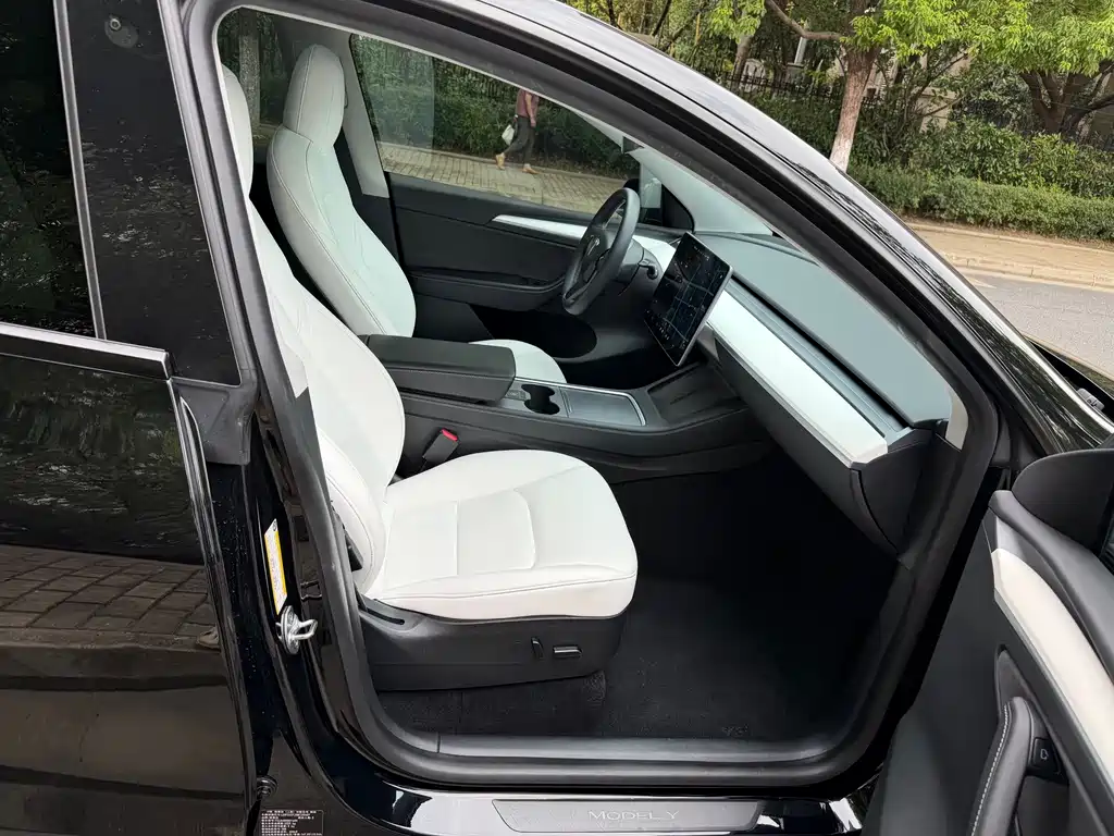 Tesla Model Y — миниатюра 13