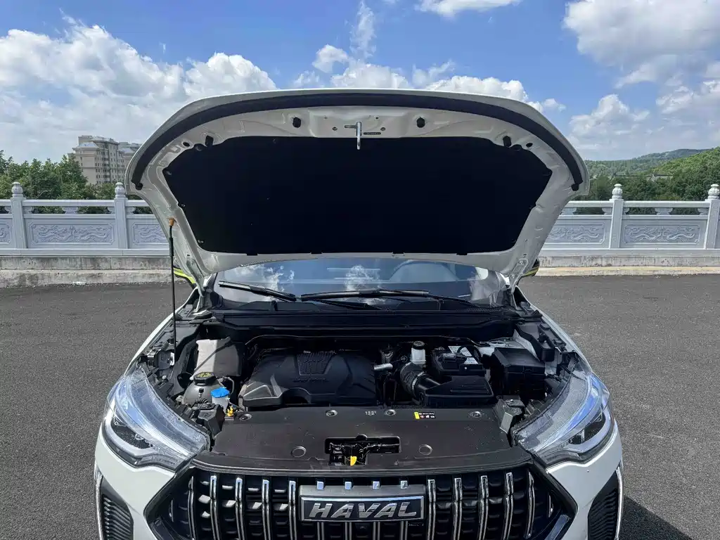 Haval Chitu — миниатюра 18