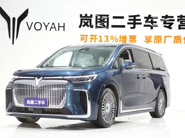 2025 Voyah Dream