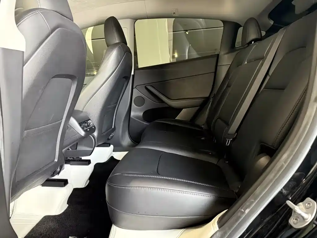 Tesla Model Y — миниатюра 5