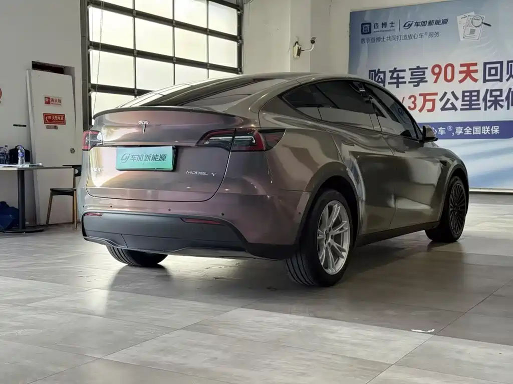Tesla Model Y — миниатюра 6
