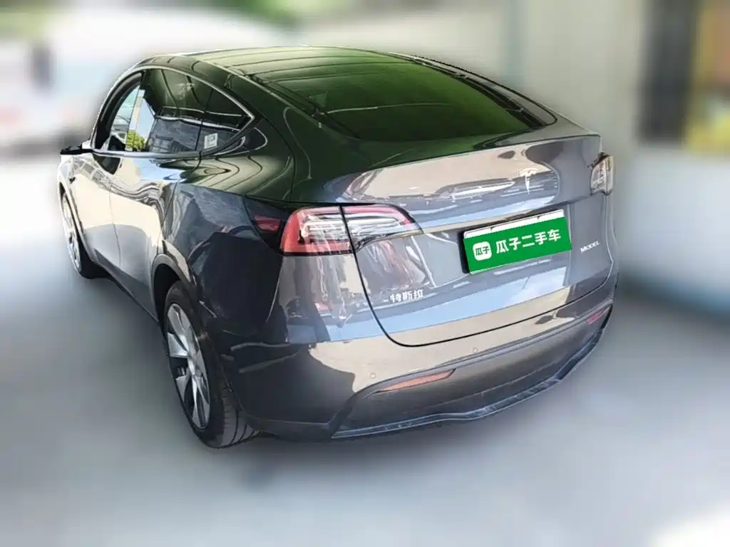 Tesla Model Y — миниатюра 9
