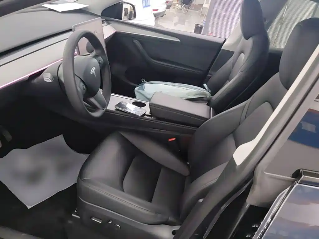 Tesla Model Y — миниатюра 15